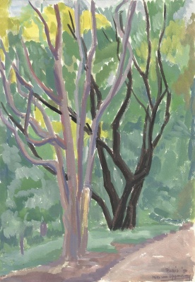 Mies van oppenraaij Aquarellen 35