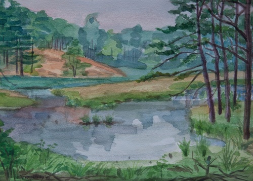 Mies van oppenraaij Aquarellen 50