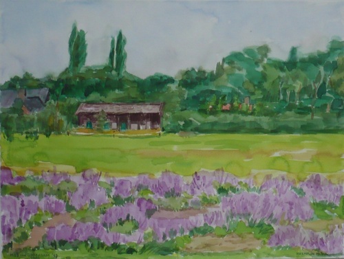 Mies van oppenraaij Aquarellen 64