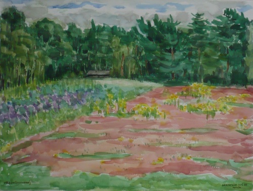 Mies van oppenraaij Aquarellen 66