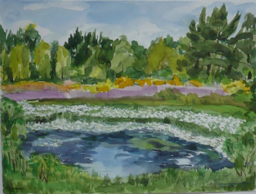 Mies van oppenraaij Aquarellen 68