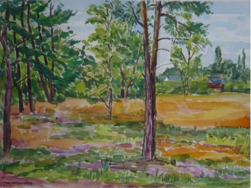 Mies van oppenraaij Aquarellen 72