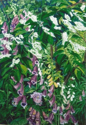 Mies van oppenraaij Gouaches 11