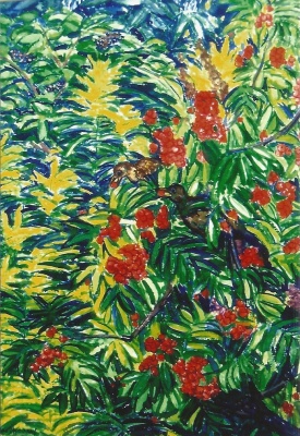 Mies van oppenraaij Gouaches 12