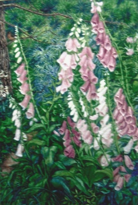 Mies van oppenraaij Gouaches 13