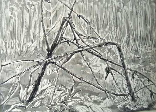 Mies van oppenraaij Gouaches 1