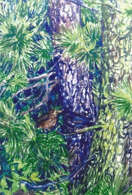 Mies van oppenraaij Gouaches 19