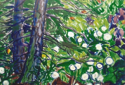 Mies van oppenraaij Gouaches 20