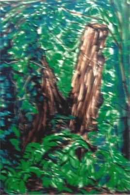 Mies van oppenraaij Gouaches 23