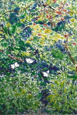 Mies van oppenraaij Gouaches 3