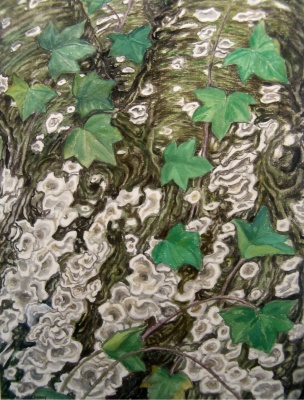 Mies van oppenraaij Gouaches 40