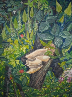 Mies van oppenraaij Gouaches 41