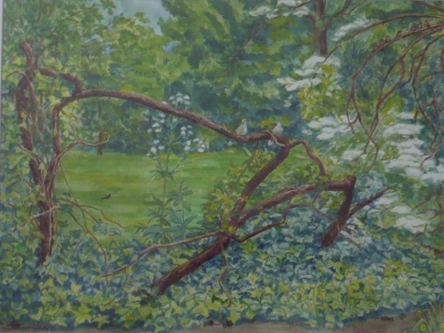 Mies van oppenraaij Gouaches 43