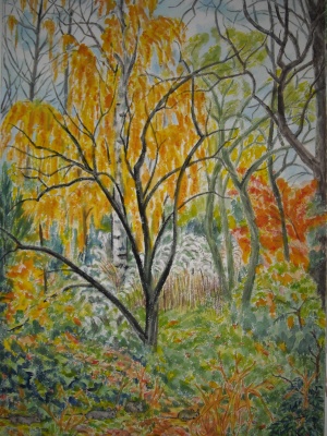 Mies van oppenraaij Gouaches 45