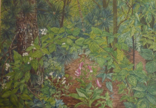 Mies van oppenraaij Gouaches 51