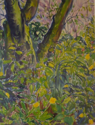 Mies van oppenraaij Gouaches 52