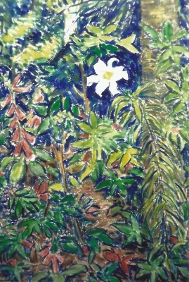 Mies van oppenraaij Gouaches 5