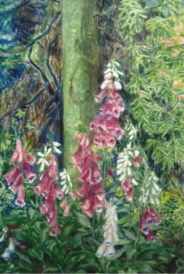 Mies van oppenraaij Gouaches 7