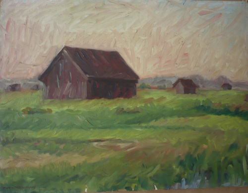 Mies van oppenraaij Landschappen 0
